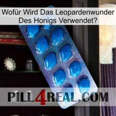 Wofür Wird Das Leopardenwunder Des Honigs Verwendet viagra1